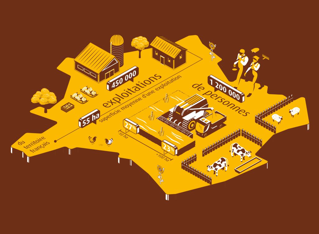 Infographies agriculture